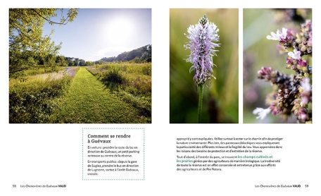 Balades dans les réserves et parcs naturels de Suisse romande