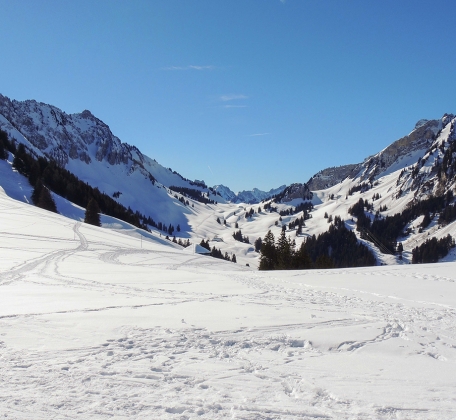 Les plus belles balades en raquettes de Suisse romande Vol. 2