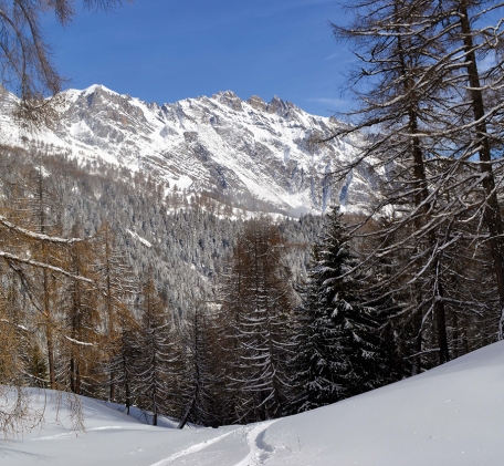 Les plus belles balades en raquettes de Suisse romande Vol. 2