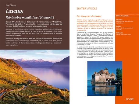 Guide de l'oenotourisme Plaisirs gourmands dans les vignobles