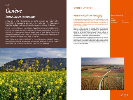 Guide de l'oenotourisme Plaisirs gourmands dans les vignobles